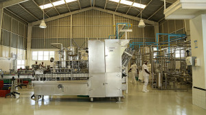 Procesadora de leche.