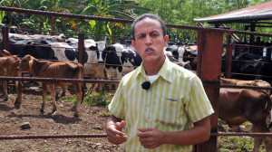 Vídeo Vaqueros de la cueva 1