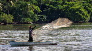 pescar sin intermediarios 1