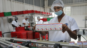 Foto video Laborando Chévere1