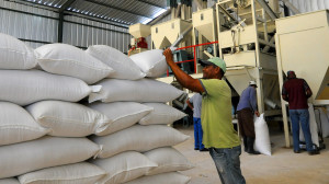 Foto video OH, Pindingo 2