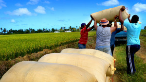 Foto video Oh, Pindingo 1