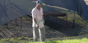 Autoridades trabajan contra prohibición de productos