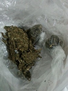 Droga incautada en operativo en la frontera.