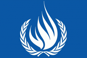 ONU, logo