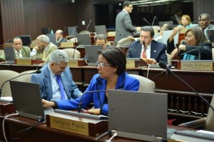 Sesión de diputados.