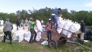 Brigadas de Medio Ambiente limpian la isla Saona.