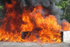 La Procuraduría General de la República informó que fueron incinerados más de 995 kilogramos de diferentes tipos de drogas, incluyendo más de setecientos noventa kilos de cocaína que fueron decomisados la pasada semana en operaciones efectuadas en el Distrito Nacional.   La información la ofreció el director del Instituto Nacional de Ciencias Forenses (INACIF), Francisco Gerdo, quien detalló que pesaron en total 995 kilogramos 202 gramos 204 miligramos.   En un informe con los detalles de la incineración el INACIF establece que los narcóticos fueron recibidos y analizados en los laboratorios de ese organismo en el período comprendido del 6 al 12 de junio.   Precisa que de cocaína había un total de 841.280 kilogramos (84.53%), marihuana 142.949 kilogramos (14.36%), heroína 10.2725 kilogramos (1.03%) y de crack 701 gramos (0.07%).   En operativos de la Dirección Nacional de Control de Drogas (DNCD) fueron decomisados un total de 905.456 kilogramos, que representan un 90.98%, y la Policía Nacional a través de la Dirección Central Antinarcóticos (DICAN) 89.746 kilogramos, equivalentes al 9.02%.   La destrucción de los narcóticos se llevó a cabo en el recinto del Ejército Nacional, en el municipio de Pedro Brand, provincia Santo Domingo, con la participación de representantes de los organismos antidrogas y del área de la salud del país.   De acuerdo al informe fueron ocupados en Sánchez Ramírez 2 gramos 440 miligramos, San José de Ocoa 39 gramos 881 miligramos, Espaillat 46 gramos 505 miligramos y en El Seibo 68 gramos 720 miligramos.   Puerto Plata 110 gramos 577 miligramos, Valverde 160 gramos 20 miligramos, Samaná 161 gramos 529 miligramos, Hermanas Mirabal 163 gramos 627 miligramos y en Peravia 193 gramos 654 miligramos.   En La Vega 317 gramos 787 miligramos, Monseñor Nouel 348 gramos 675 miligramos, Duarte 511 gramos 149 miligramos, y en San Pedro de Macorís 524 gramos 329 miligramos.   Además fueron decomisados en San Cristóbal 1 kilogramo 429 gramos 248 miligramos, Barahona 2 kilogramos 663 gramos 136 miligramos y en María Trinidad Sánchez 3 kilogramos 628 gramos 781 miligramos.   En labores desarrolladas en la provincia de Azua 4 kilogramos 615 gramos 562 miligramos y en Independencia 6 kilogramos 720 gramos 120 miligramos.   Las autoridades informaron que en Santo Domingo fueron decomisados 12 kilogramos 620 gramos 120 miligramos e igualmente en Elías Piña 12 kilogramos 946 gramos 299 miligramos, en tanto que en La Altagracia 15 kilogramos 525 gramos 740 miligramos.   San Juan 28 kilogramos 8 gramos 585 miligramos, Dajabón 41 kilogramos 204 gramos, y en labores efectuadas en Santiago 66 kilogramos 426 gramos 158 miligramos.   Igualmente, se informó que fueron decomisados en el sector Los Cacicazgos y otros lugares del Distrito Nacional la cantidad total de 796 kilogramos 765 gramos 562 miligramos.   En las provincias de Hato Mayor, La Romana, Bahoruco, Pedernales, Santiago Rodríguez, Montecristi y Monte Plata no fueron realizados  decomisos de drogas la pasada semana.   Este año van más de 5 toneladas   La Procuraduría también informó que en lo que va del presente año han sido incinerados en total 5 mil 740 kilogramos 509 gramos 276 miligramos de distintos narcóticos confiscados en todo el país.   Por medio del informe la institución señala que fueron ocupados durante operativos desarrollados en Pedernales la cantidad de 97 gramos 491 miligramos.   Hato Mayor 1 kilogramo 9 gramos 912 miligramos, San José de Ocoa 1 kilogramo 279 gramos 347 miligramos y en Monte Plata 1 kilogramo 749 gramos 382 miligramos.   Por igual en Sánchez Ramírez 2 kilogramos 581 gramos 676 miligramos, El Seibo 2 kilogramos  844 gramos 886 miligramos y en Espaillat 3 kilogramos 311 gramos 672 miligramos.   Montecristi 4 kilogramos 519 gramos 183 miligramos, María Trinidad Sánchez 8 kilogramos 536 gramos 187 miligramos, y en Monseñor Nouel 11 kilogramos 283 gramos 69 miligramos.   Fueron confiscados en la provincia Hermanas Mirabal 12 kilogramos 745 gramos 823 miligramos, y en Puerto Plata 13 kilogramos 896 gramos 823 miligramos.   Asimismo en Valverde fueron decomisados 15 kilogramos 668 gramos 831 miligramos, en La Vega 16 kilogramos 926 gramos 759 miligramos y en Santiago Rodríguez 17 kilogramos 185 gramos 664 miligramos.   San Pedro de Macorís 20 kilogramos 521 gramos 248 miligramos, Bahoruco 26 kilogramos 122 gramos 560 miligramos y en la provincia Duarte la cantidad de 30 kilogramos 539 gramos 620 miligramos.   También en Independencia 50 kilogramos 74 gramos 376 miligramos, Dajabón 52 kilogramos 711 gramos 859 miligramos, y en Barahona 53 kilogramos 128 gramos 605 miligramos.   En Elías Piña 88 kilogramos 872 gramos 272 miligramos y en la provincia de Samaná la cantidad de 93 kilogramos 112 gramos 332 miligramos, en tanto que en Peravia 184 kilogramos 29 gramos 584 miligramos.   San Juan 206 kilogramos 96 gramos 535 miligramos, Santiago 208 kilogramos 902 gramos 726 miligramos, y en La Altagracia 360 kilogramos 949 gramos 715 miligramos.   Otros 365 kilogramos 354 gramos 750 miligramos fueron confiscados en La Romana y en San Cristóbal 397 kilogramos 817 gramos 751 miligramos.   En acciones desarrolladas en Santo Domingo 697 kilogramos 620 gramos 537 miligramos, y en Azua 863 kilogramos 337 gramos 909 miligramos.   El informe específica que en distintos sectores del Distrito Nacional han sido confiscados en lo que va de año mil 927 kilogramos 680 gramos 190 miligramos de distintas drogas.  
