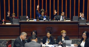Cristina Lizardo y Francis Vargas encabezaron la sesión celebrada por el Senado.