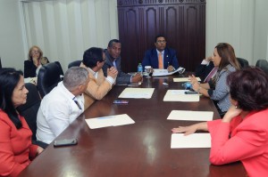 Comisión de diputados estudia la ley de partidos.