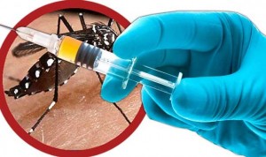 Vacuna contra el dengue