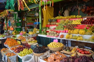 El Plan de Seguridad Alimentaria promueve políticas publicas integrales para erradicar el hambre.