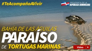 Infografía de Bahía de las Águilas.
