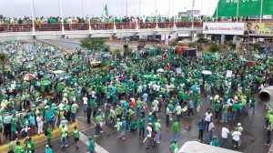 Vista panorámica de quienes estuvieron en la Marcha Verde.