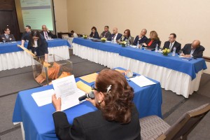 Comité de licitación de la CDEEE.