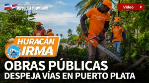 Obras Públicas despeja vías afectadas por huracán Irma.