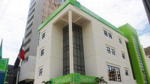 SeNaSa, fachada