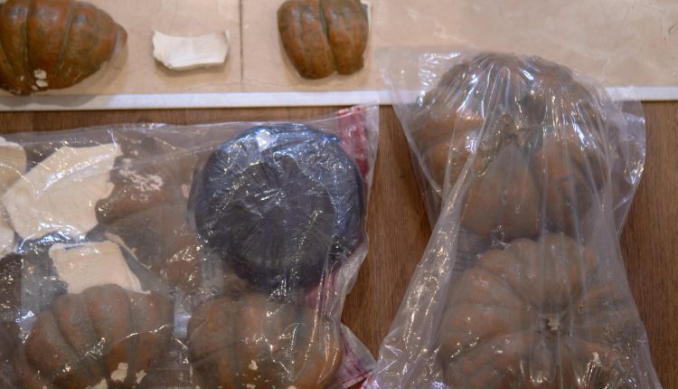 Cocaína encontrada en auyamas plásticas.