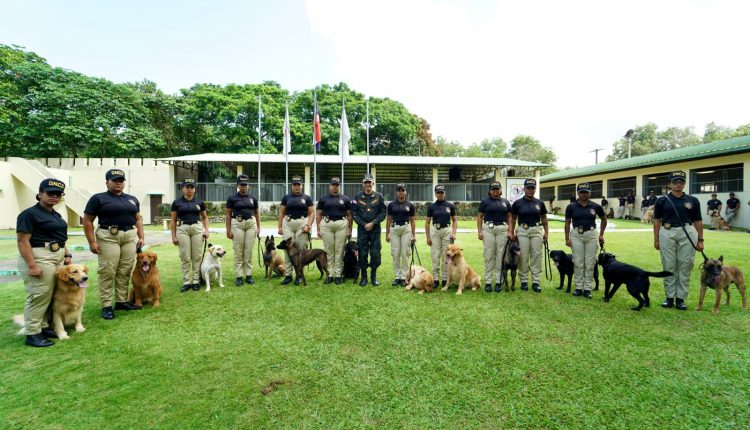 Unidades caninas de la DNCD.