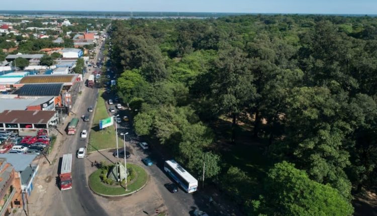 Avenida República de Colombia próximo al Jardín Botánico.