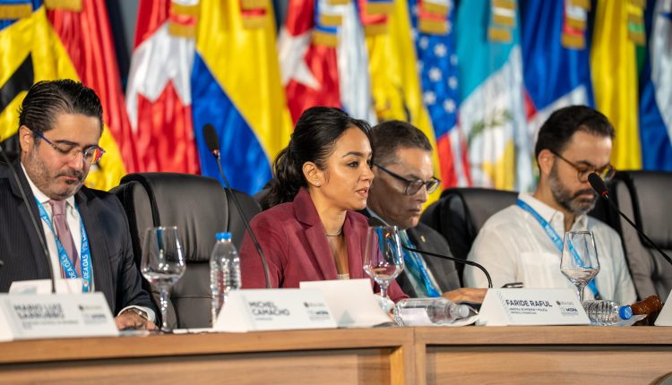 Faride Raful habla en reunión sobre seguridad en las Américas.