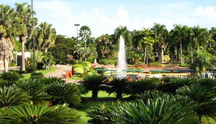 Jardín Botánico debe ser protegido.