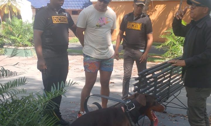 Hombre detenido por caso de perro que murió