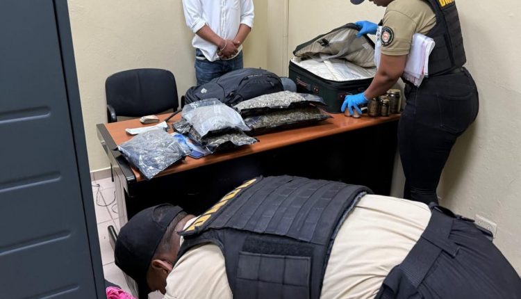 Extranjero detenido y marihuana incautada en el aeropuerto del Cibao.