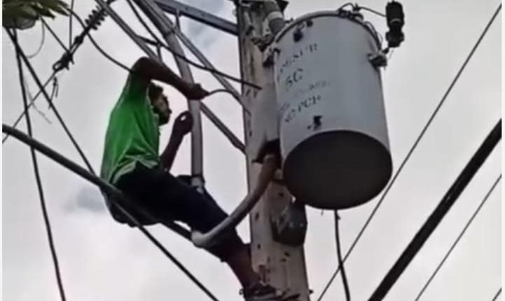 Edesur enfrenta las conexiones ilegales.