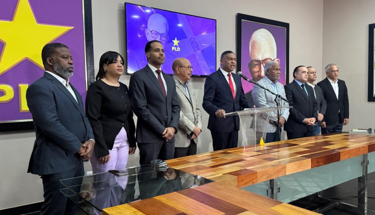 Dirigentes del PLD cuestionan a la Cámara de Cuentas.