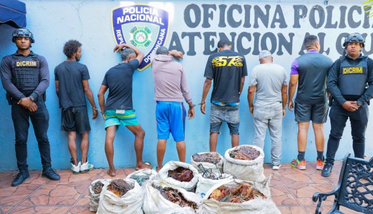 Detenidos por diferentes delitos.