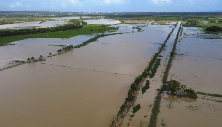 Parcelas inundadas por las lluvias.