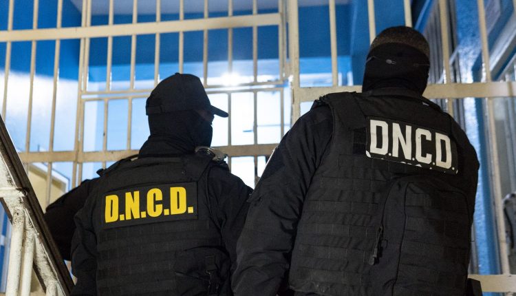 Wady Joel Díaz Meléndez (Luis Díaz y/o Piojo) estaba bajo custodia de la DNCD.