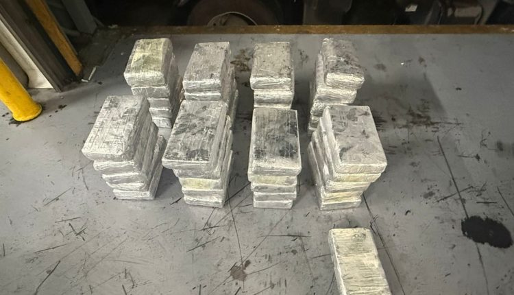 Cocaína incautada en el puerto de Caucedo.