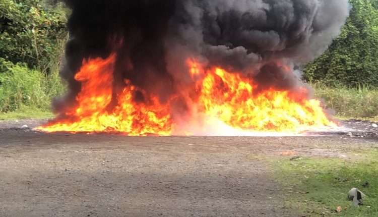 Droga incinerada por el Inacif.