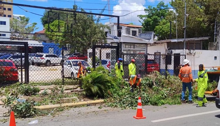Brigada de Edesur en plena labor.
