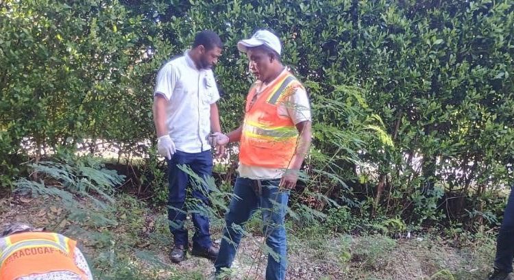 Técnicos del Ministerio de Agricultura.