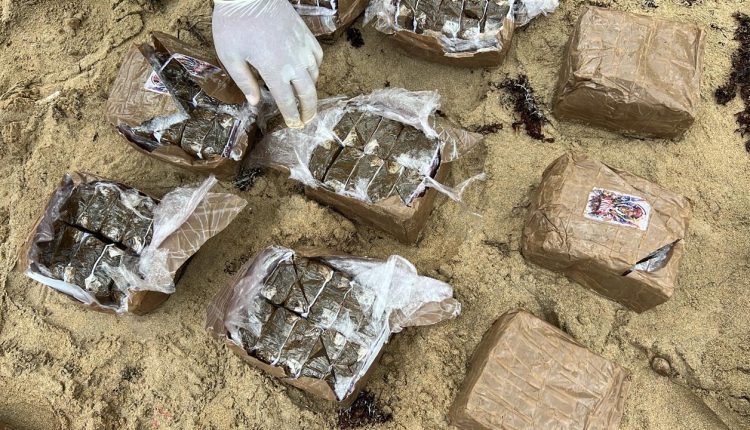 Droga incautada por la DNCD.