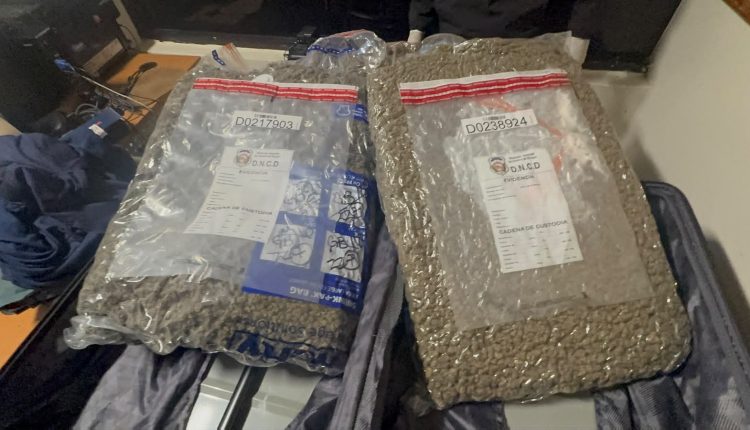 Paquetes de marihuana ocupados en maleta.