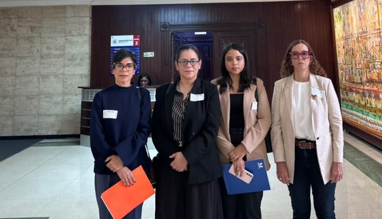 Representantes de instituciones proponen incluir tres causales en el Código Penal.