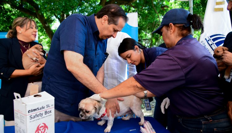 Víctor Atallah participa en vacunación de perros.