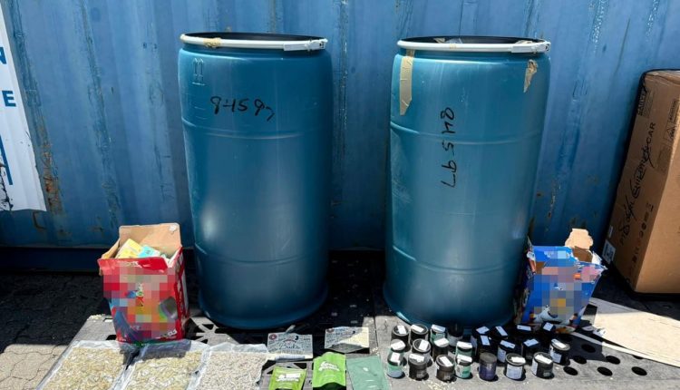 Droga incautada en puerto de Haina.