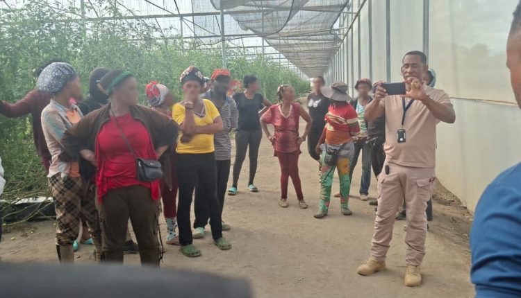 Indocumentado detenidos en operaativos de Migración.