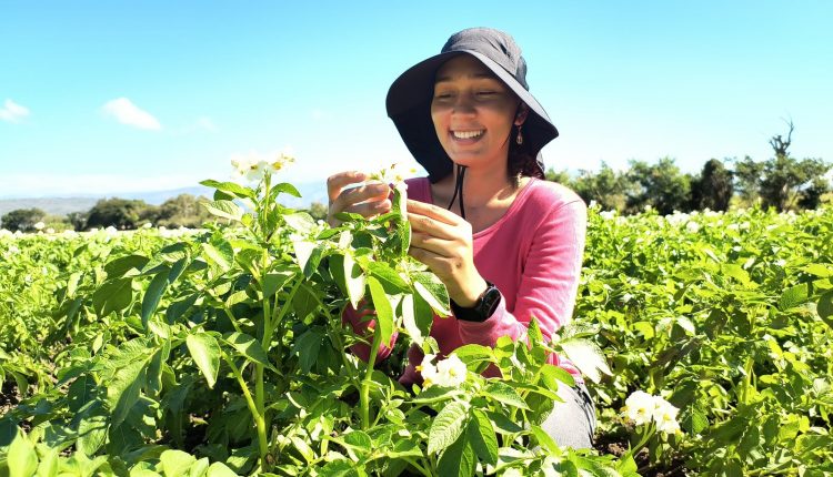 Agricultura apoya a mujeres rurales.